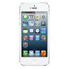 Apple iPhone 5 16Gb white - Кохма
