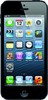 Apple iPhone 5 16GB - Кохма